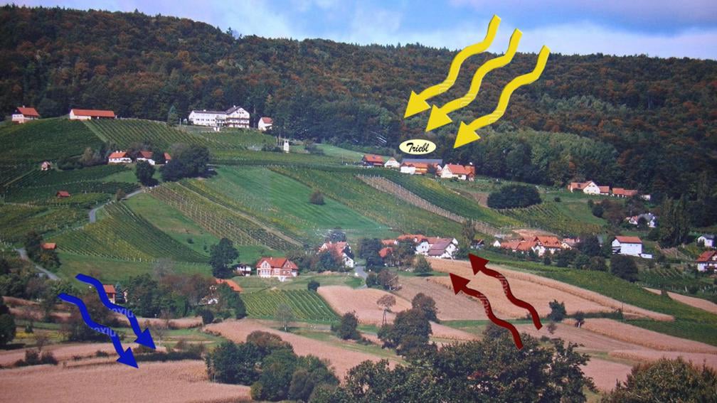 Ried Stradenberg vom Weingut Triebl im steirischen Vulkanland