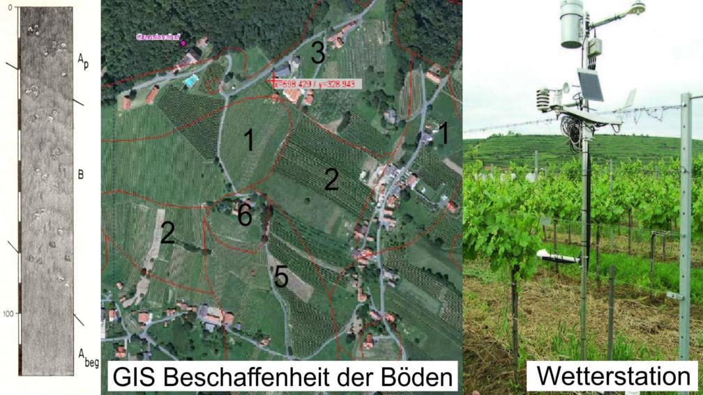 Technologie und Innovationen im Weinbau