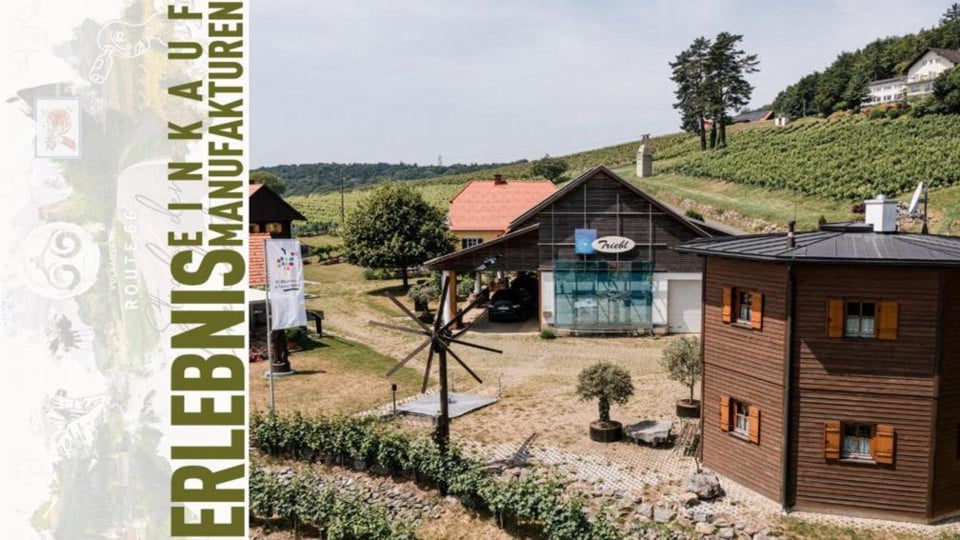 Vulkanland Route 66 Betrieb Weingut Triebl