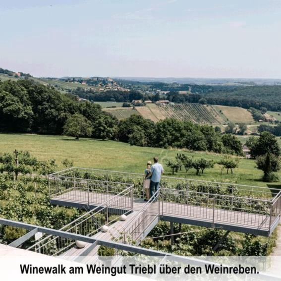 skywalk-weingut-triebl-steiermark-vulkanland