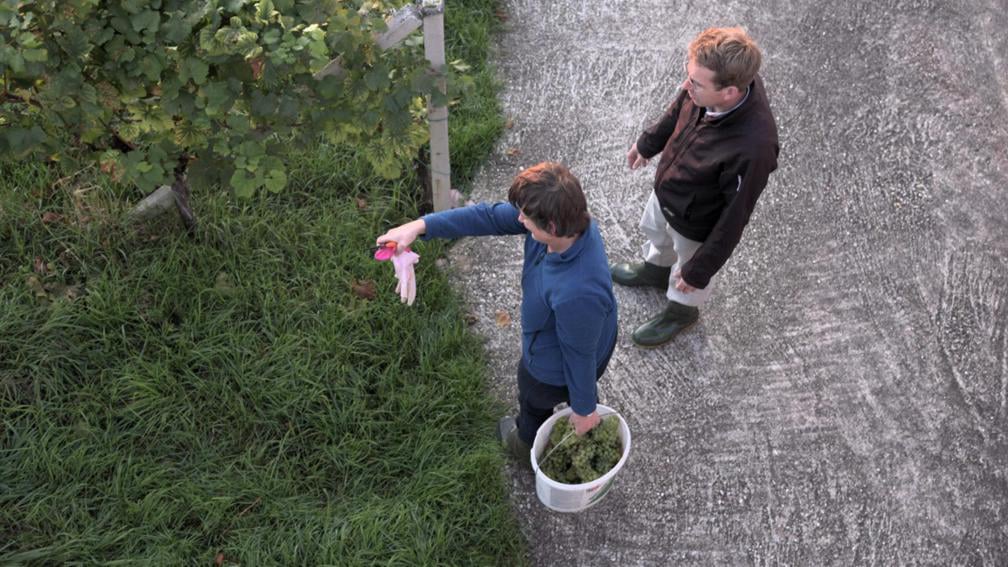 Weinherstellung in der Steiermark Vulkanland